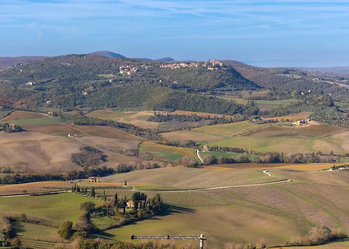 Belvedere In